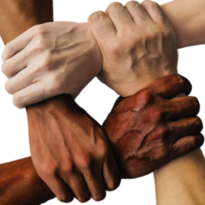 Group logo of Southern CA San Diego to LA