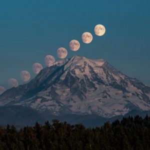 Group logo of MT Rainier Freedom