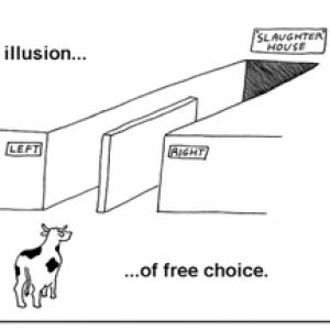 Group logo of Solutions Watch